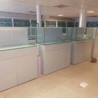 آکواریوم ریملس (خط تولید مستقیم)