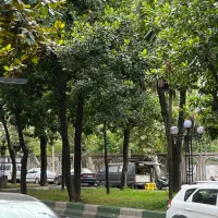 اجاره مغازه ۳۰ متری بر اصلی گلسار / لوکشین ممتاز