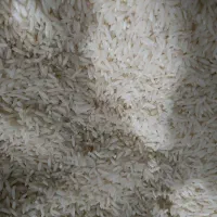 برنج طارم هاشمی معطراعلا