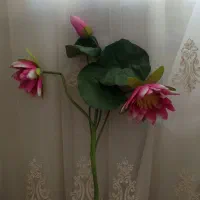 گل مصنوعی|گل مصنوعی|زنجان, |دیوار