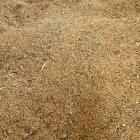 فروش گندم