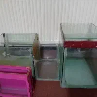 اکواریوم بدون وسیله