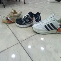 کفش و کتانی|کیف، کفش، کمربند|ساوه, |دیوار