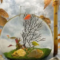 پلنتاریوم ، تراریوم آبزی