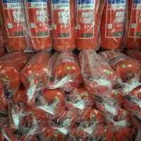 انواع کپسول آتش نشانی|خدمات پیشه و مهارت|اهواز, گلستان|دیوار