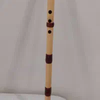 نی مدل سابیزا