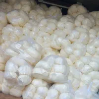 ساری باغ کرسی