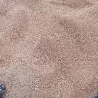 حدود دوکیسه گندم