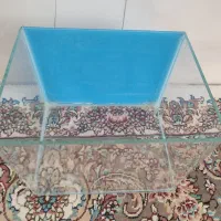 اکواریوم نقلی ،شیک