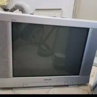 تلویزون