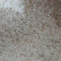 لاشه برنج فجر