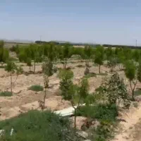 فروش باغ در روستای کلاته ملک از توابع خوسف بیرجند