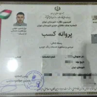 کارشناس خودرورتبه اول تشخیصuvرنگ سیارفنی موتوربدنه