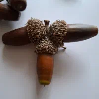 فروش بلوط‌های تزئینی