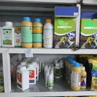 استخدام گیاهپزشک آقا