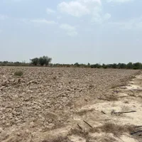 اجاره 2 هکتار زمین کشاورزی مرغوب همراه با آب|اجارهٔ دفتر صنعتی، کشاورزی، تجاری|بندرعباس, |دیوار