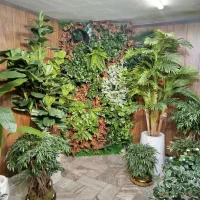 تهران،گرین وال ، فلاور باکس ،