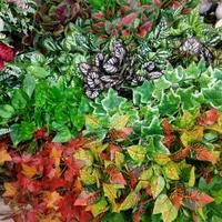 بوته برگ گل گیاه مصنوعی برای لابی ساختمان ویلا