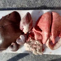 گوشت کله پاچه جیگر