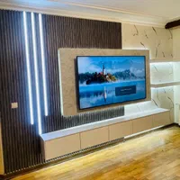 مجری تخصصی تیوی وال