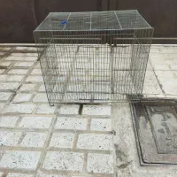 قفس
