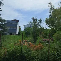 نوشهر/قطعه زمین۲۵۰متری/شهرکی/سندتک برگ/مدارک تکمیل|فروش زمین و ملک کلنگی|نوشهر, |دیوار