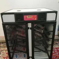 دستگاه جوجه کشی درنا