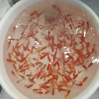 ماهی گلی دونه ای 20 تومن