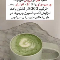 چای زیبایی ...ماچا|خوردنی و آشامیدنی|شیراز, نشاط|دیوار