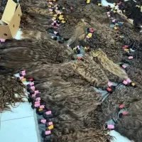 خریدار موی طبیعی بانوان خرید فروش