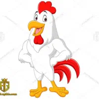 استخدام شاگرد مرغ فروشی