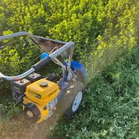 فروش کاه یونجه