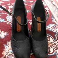 کفش مجلسی