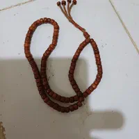 تسببح ناجیل