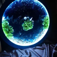 آموزش رزین و پتینه