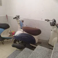 پاکشتی تمیز