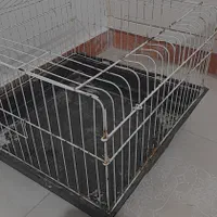 معاوضه قفس خرگوش با قفس پرنده