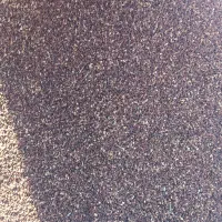 کنجد|خوردنی و آشامیدنی|مشهد, گوهرشاد|دیوار