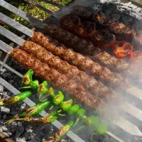 منقل کار