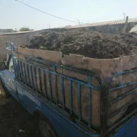 کودحیوانی|خدمات باغبانی و درختکاری|اهواز, پردیس|دیوار