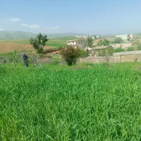 کاه فروش