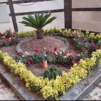 خدمات باغبانی و گل کار در تمام نقاط تهران|خدمات باغبانی و درختکاری|تهران, ستارخان|دیوار