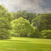 خانم برای نظافت وامورمنزل