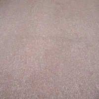 پالاز موکت|موکت|بندر کنگان, |دیوار