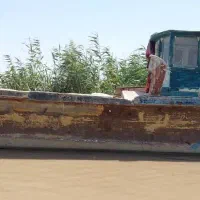 مینی لنج یا بچه لنج