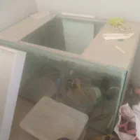 آکواریوم و تجهیزات|ماهی|یزد, |دیوار