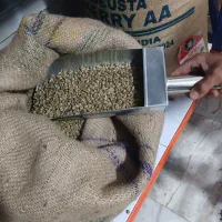 برشته کاری و رستری قهوه ( کافه بریدا )|عمدهفروشی|تهران, جی|دیوار