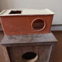 پرنده|تور و چارتر|مشهد, شهرک صنعتی توس|دیوار