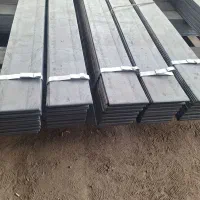 نیروی ساده آقا