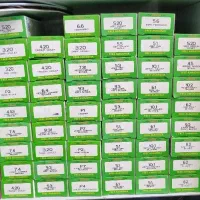 رنگ مو گیاهی با کاتالوگ رایگان